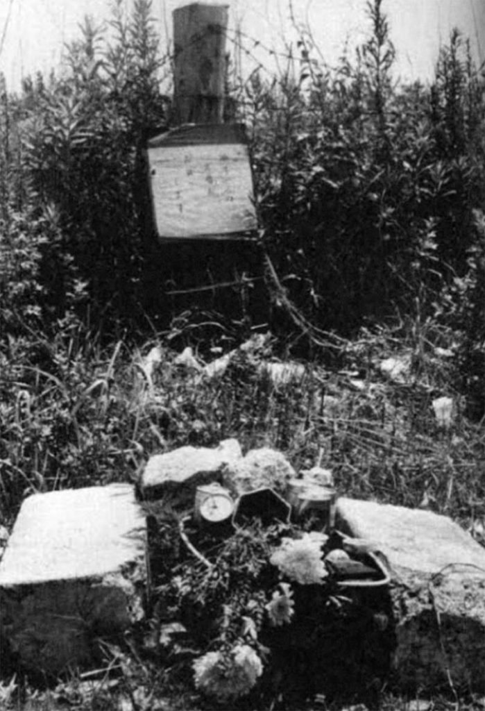 Remembering A Victim An In Depth Look At The Life Of Junko Furuta - t5smdrs