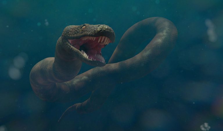 10 Vicious Details Surrounding Titanoboa, The Largest Prehistoric Snake 10 Vicious Details Surrounding Titanoboa, The Largest Prehistoric Snake